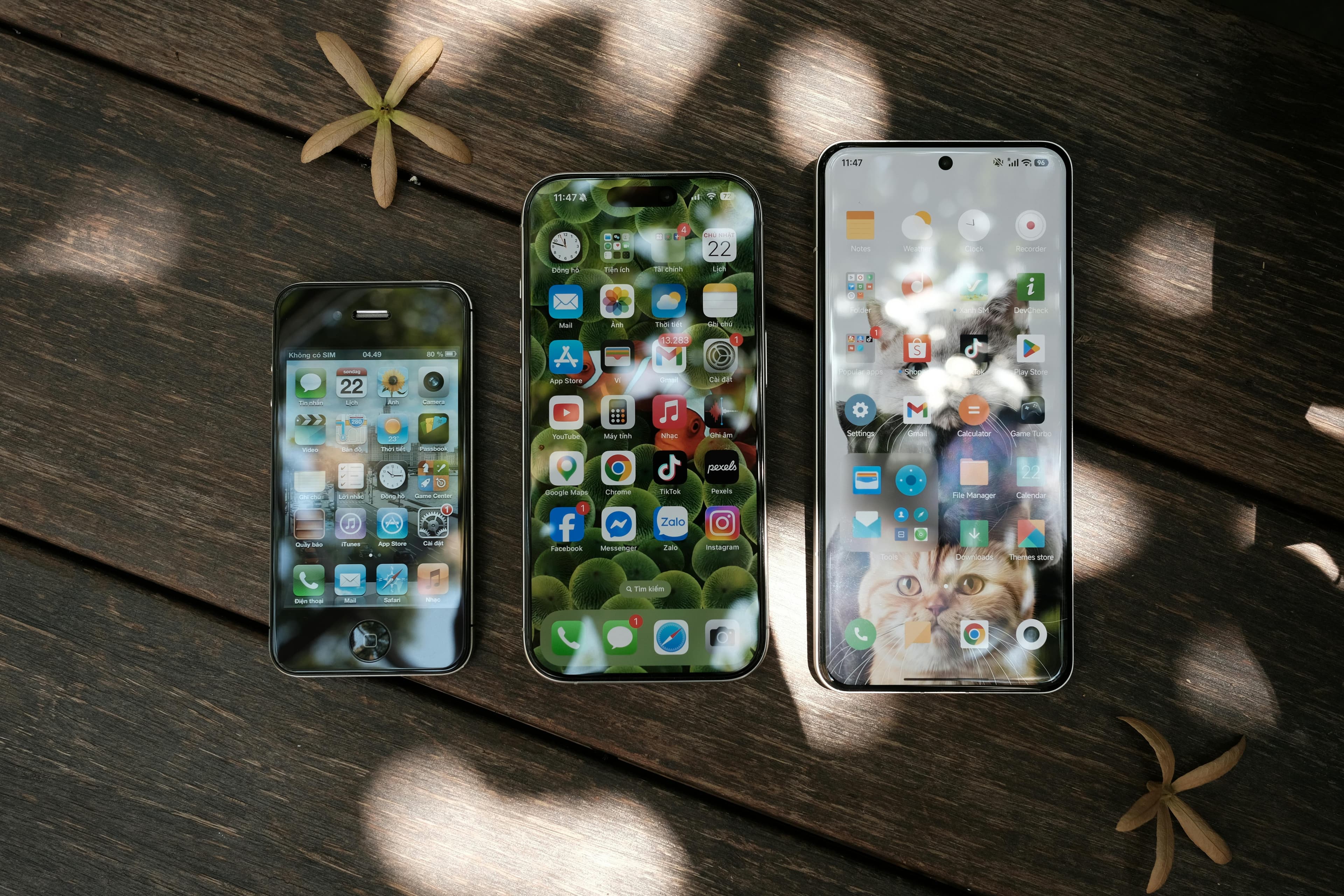 Celulares y Consolas